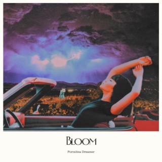 Bloom lyrics | Boomplay Music