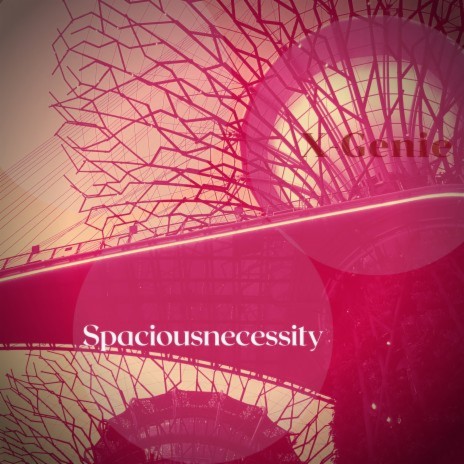 Spaciousnecessity | Boomplay Music