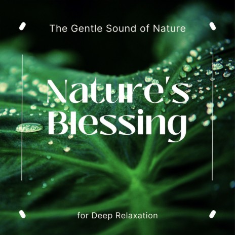New Age Relaxing Sounds of Water | Boomplay Music