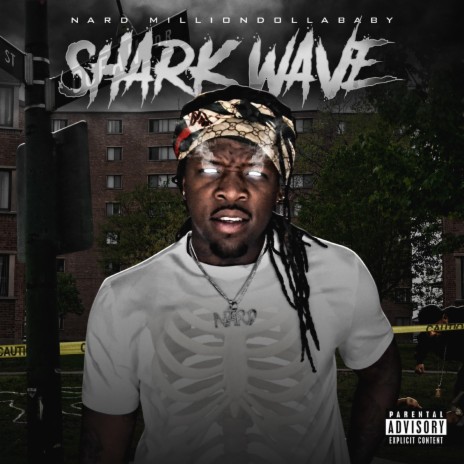 Shark Intro | Boomplay Music