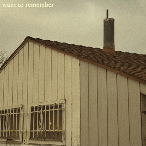 Want to Remember | Boomplay Music