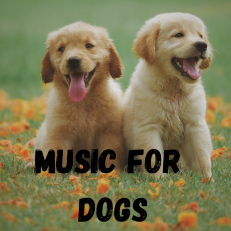 Peaceful Thoughts ft. Music For Dogs, Relaxing Puppy Music & Calm Pets Music Academy | Boomplay Music