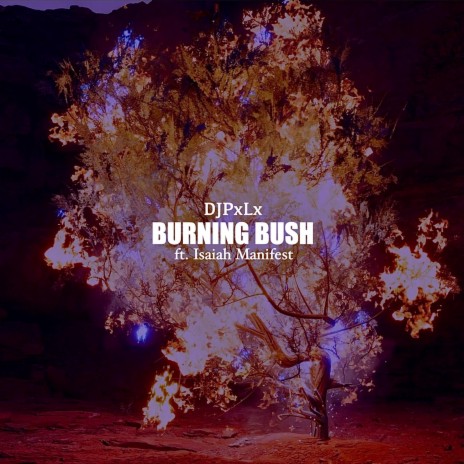 Burning Bush ft. DJPxLx | Boomplay Music