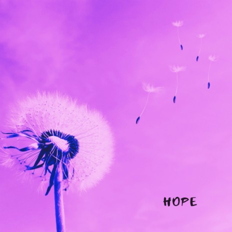 Hope | Boomplay Music