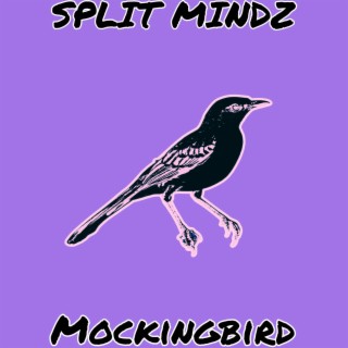 Mockingbird