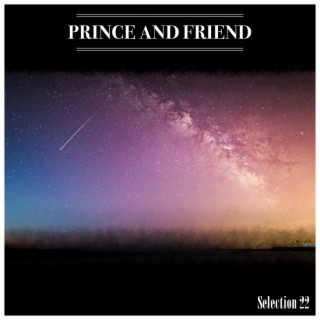 Prince And Friend Selection 22