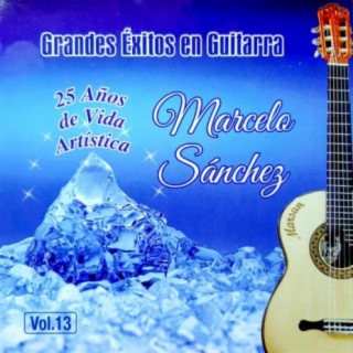 25 Años de Vida Artística - Grandes Éxitos en Guitarra, Vol.13