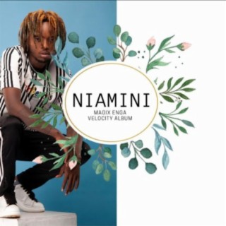 NIAMINI lyrics | Boomplay Music