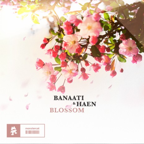 Blossom ft. Haen | Boomplay Music