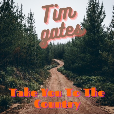 Take You To The Country | Boomplay Music