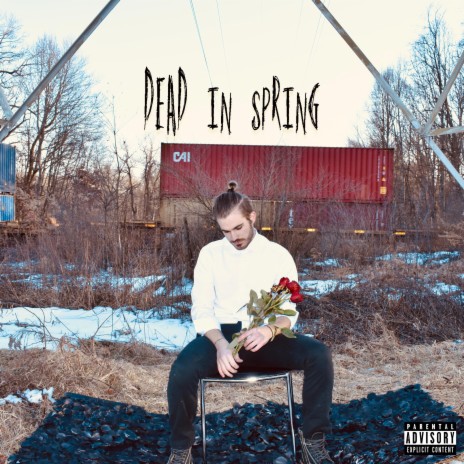 Dead in Spring | Boomplay Music