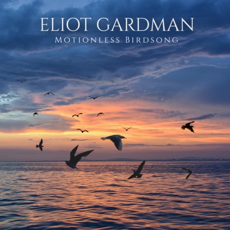 Motionless Birdsong | Boomplay Music