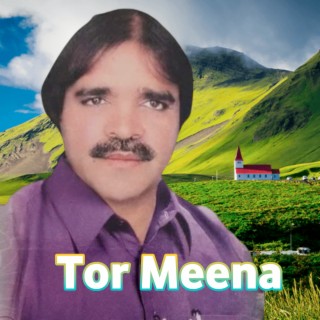 Tor Meena