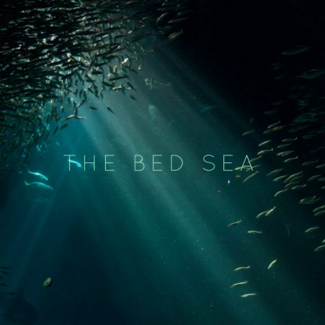 The Bed Sea | Boomplay Music