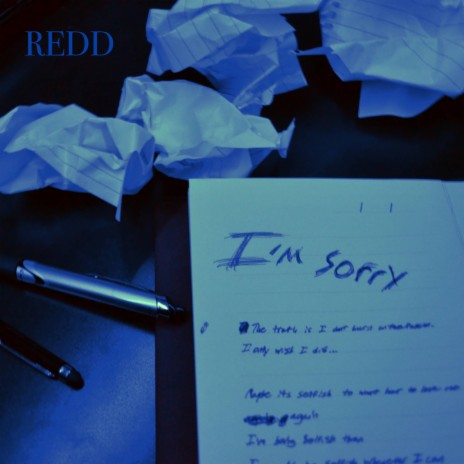 I'm Sorry | Boomplay Music