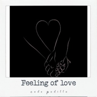 Feeling of Love ft. Nicole Forte lyrics | Boomplay Music