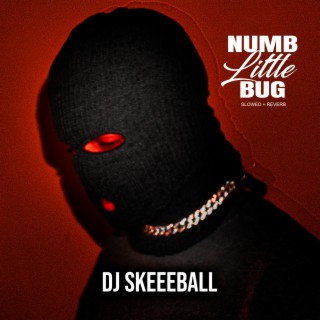 Numb Little Bug (Slowed + Reverb) lyrics | Boomplay Music