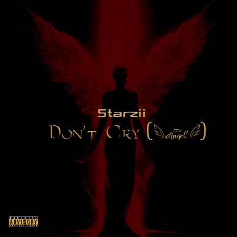 Don't Cry (Angel) | Boomplay Music