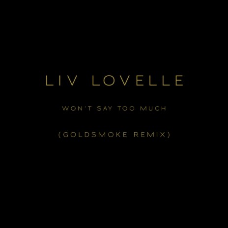 Won't Say Too Much (Goldsmoke Remix) ft. Goldsmoke | Boomplay Music