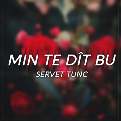 Min Te Dît Bu | Boomplay Music