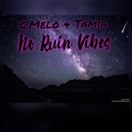 No Ruin Vibes ft. Tamia Brown | Boomplay Music