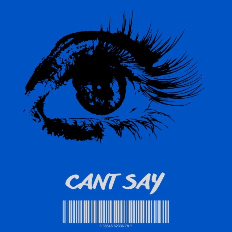 Cant Say | Boomplay Music