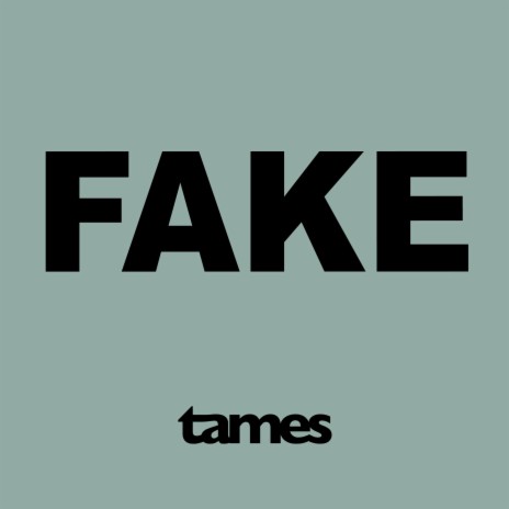 FAKE | Boomplay Music