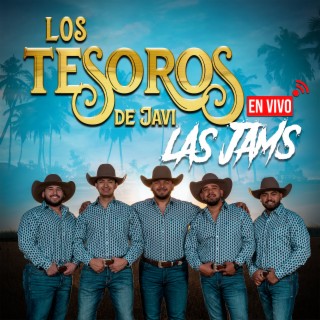 Los Tesoros de Javi