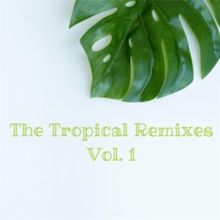 The Tropical Remixes Vol.1