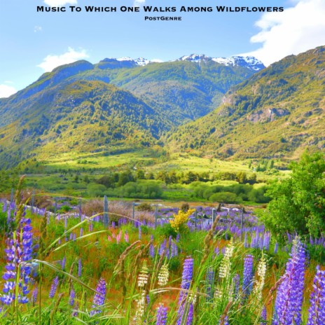 Music to Which One Walks Among Wildflowers | Boomplay Music