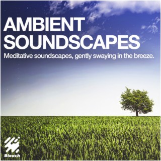 Ambient Soundscapes