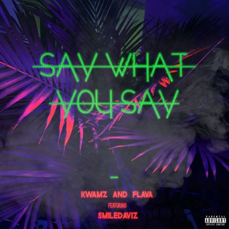Say What You Say (Radio Edit) ft. SmileDaviz | Boomplay Music