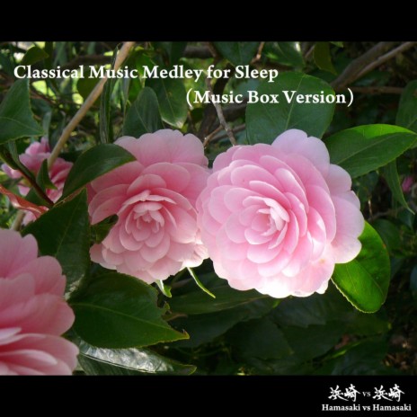 Classical Music Medley for Sleep (Music Box Version) | Boomplay Music