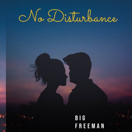 No Disturbance | Boomplay Music