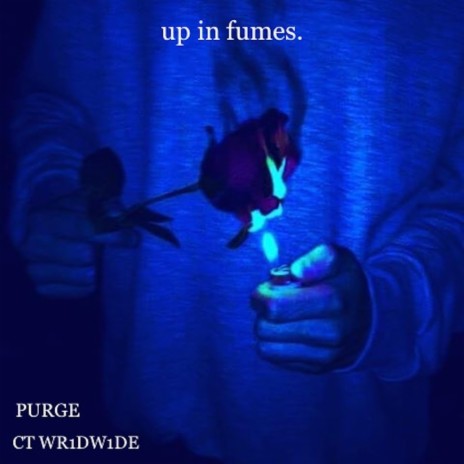 Up In Fumes ft. CT WR1DW1DE | Boomplay Music