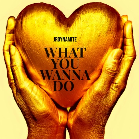 What You Wanna Do ft. JrDynamite | Boomplay Music