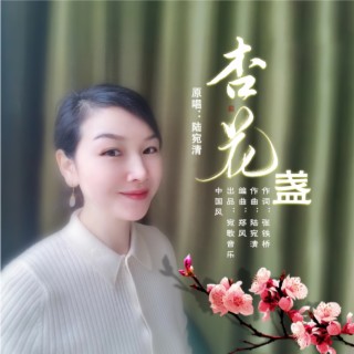 杏花盏 lyrics | Boomplay Music