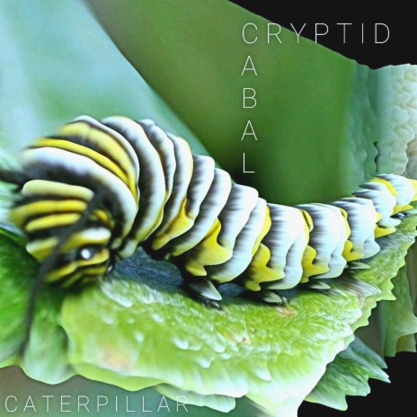 Caterpillar