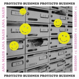 Proyecto buzones 1