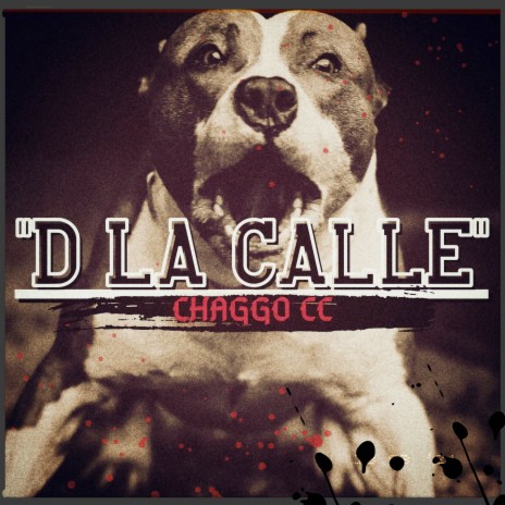 D la calle | Boomplay Music