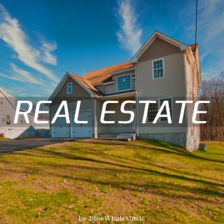 Real Estate