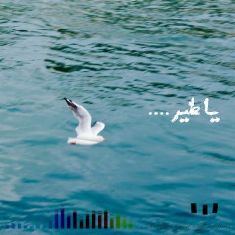 يا طير | Boomplay Music