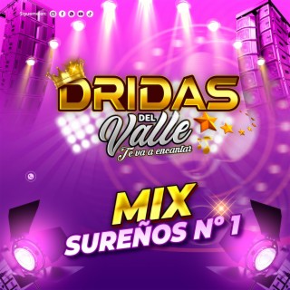 MIX SUREÑOS Nº1