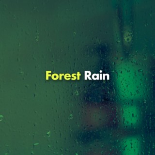 Forest Rain