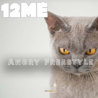 Angry Freestyle