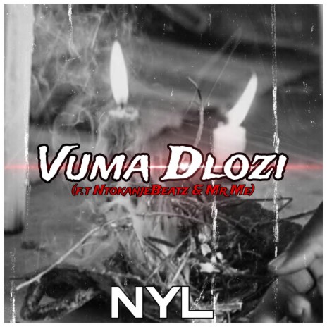 Vuma Dlozi ft. NtokanjeBeatz & Mr Me | Boomplay Music
