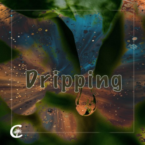 Dripping | Boomplay Music