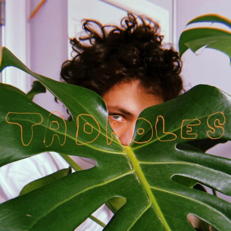 Tadpoles | Boomplay Music