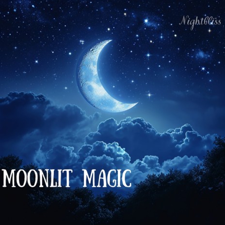 Moonlit Magic ft. Sleep Music & Astro.Not