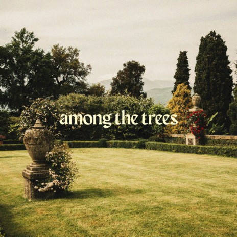 Among the Trees | Boomplay Music